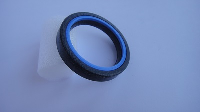 POLYSEAL